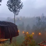 Glamping di Jungle, Ciwidey