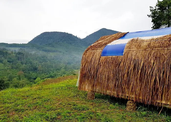 Glamping di Jungle, Ciwidey